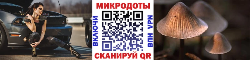 наркошоп  Афипский  Псилоцибиновые грибы Psilocybine cubensis 